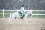 SBM_003378