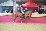 SBM_09638