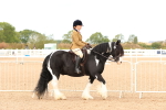 Class 215 - Ridden Traditional - Native Cobs portfolio