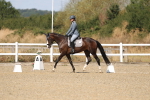 SBM_013604