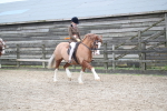 SBM_006267