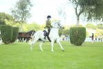 SBM_43022