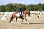 SBM_015991