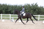 SBM_017537