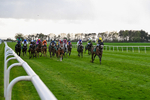 Race 8 portfolio