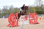 Clear Round, British Novice and 90cm portfolio