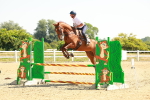 SBM_000583