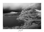 By the Loch