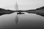 Monochrome portfolio