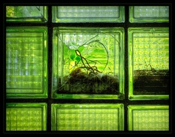 Abandoned Asylums and Institutions portfolio