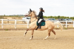 SBM_002060