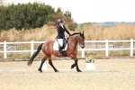 SBM_010937