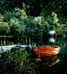 Boating at Dawn