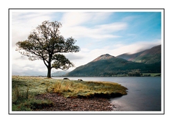 Shoreline on the Fells