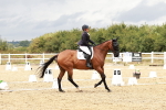 SBM_003775