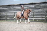 SBM_007327