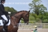 BPP_6318