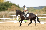 SBM_012381