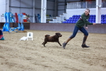 SBM_005609