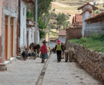 Working  Sacred Valley