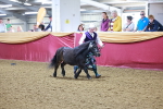 SBM_14704