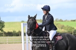 BPP_2955