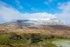 DSC_7190