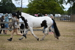 WJ6_8390