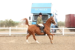 SBM_07531