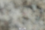 230326A-103850-00405