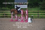 BPP_9091