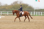 SBM_002565