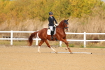 SBM_009334