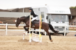 SBM_008928