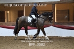 BPP_3082