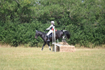 WJ6_1186