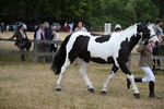 WJ6_8129