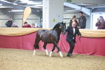 SBM_16611