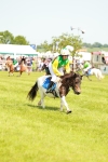 SBM_04388