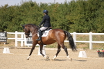 SBM_014638