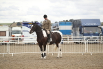 SBM_18293
