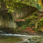 Altnavaddy Bridge, Tollymore Forest, Co Down