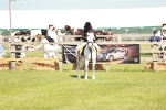 SBM_12629