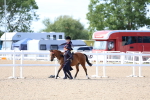 SBM_18164
