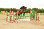 SBM_001833