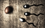 Egg & Spoon Race