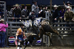 Bulfighters_DSC1500