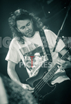 Pigsx7-66