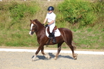 3E7A3682