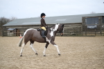 SBM_007921